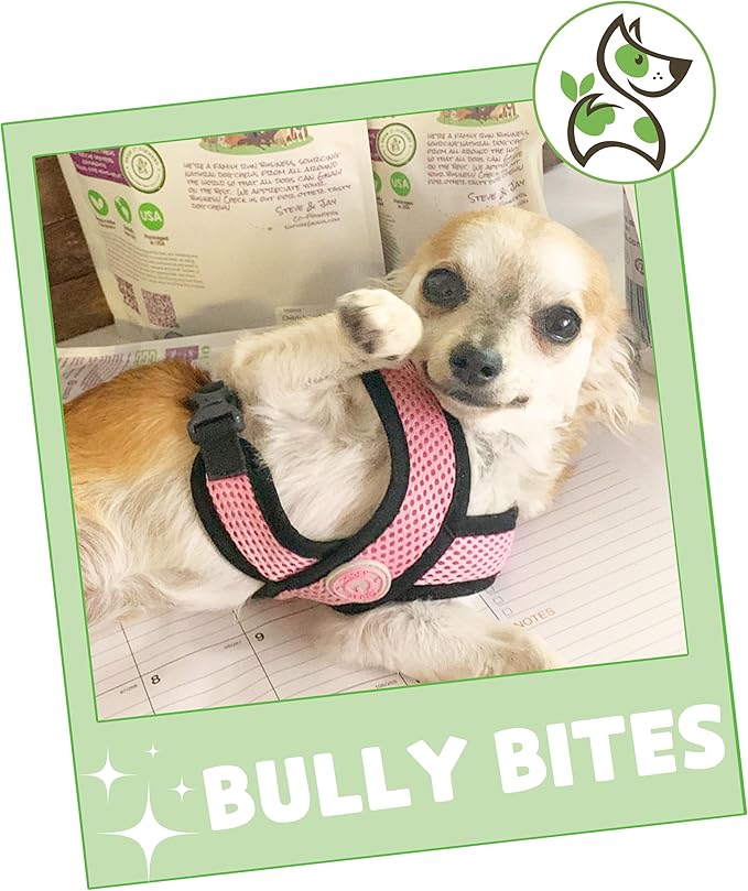 Nature Gnaws Bully Stick Bites for Small Dogs 2-4" (8oz) - Long Lasting for Light Chewers and Puppies - Natural Beef Dog Chew Treats - Rawhide Free