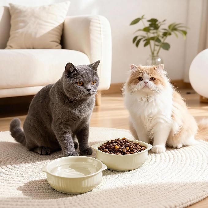 Cat Food Bowl with Handle, 6 inch Ceramic Cat Food and Water Feeder Set, Modern Vertical Texture Design, Kitten Bowls for Indoor Cats and Small Dogs, Microwave Dishwasher Safe, Beige- 2 Pack