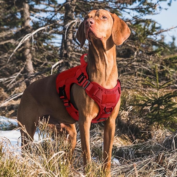 rabbitgoo Tactical Dog Harness for Large Dogs, Heavy Duty Dog Harness with Handle, No-Pull Service Dog Vest Large Breed, Adjustable Military Dog Vest Harness for Training Hunting Walking, Red, XL
