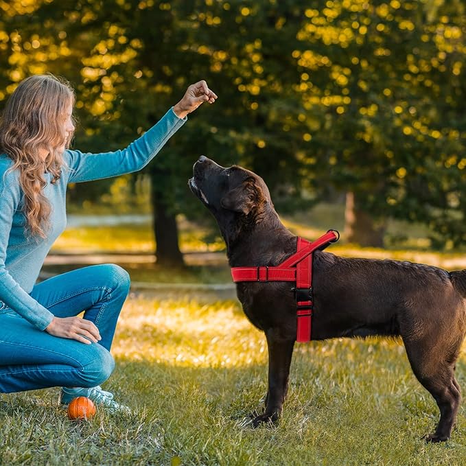 Red No Pull Dog Harness for Small Medium Large Sized Dog, Reflective Escape Proof Adjustable Dog Harnesses with 2 Patch, S