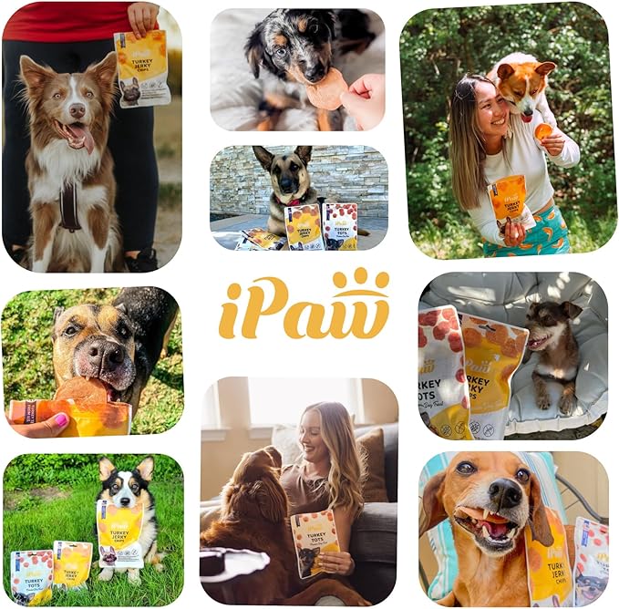 iPaw 2 Saver Combo Chicken Tots Dog Treats for Puppy Training, All Natural Human Grade Dog Treat, Hypoallergenic, Easy to Digest (Chicken Tots), 2 Packs
