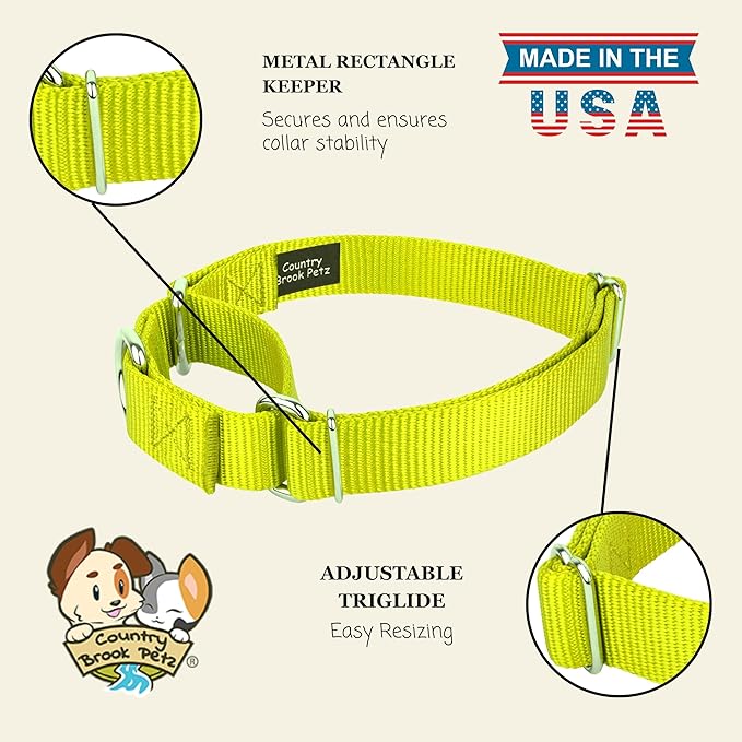 Country Brook Petz - Martingale Dog Collar - Heavy-Duty Training Collar with No Buckle - Service Dog Collar for All Pups - 10+ Warm Colors (Hot Yellow, 3/8 Inch, 2XS)
