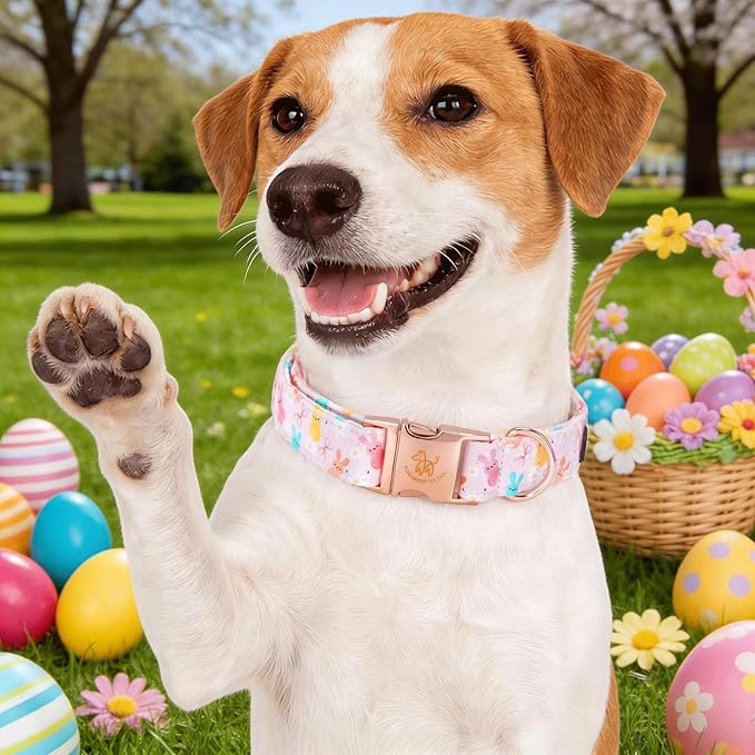 Elegant little tail Easter Dog Collar, Pink Bunny Floral Pattern Spring Pet Collars Gift Holiday Puppy Collars Soft Cotton Adjustable Dog Collar for Large Dogs