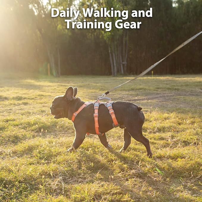 Huntboo Escape Proof Dog Harness, No Pull Reflective Harness with Lift Handle, Adjustable Pet Vest with Front and Back Leash Clips for Small Medium Large Dogs Walking Hiking Training (Orange,L)