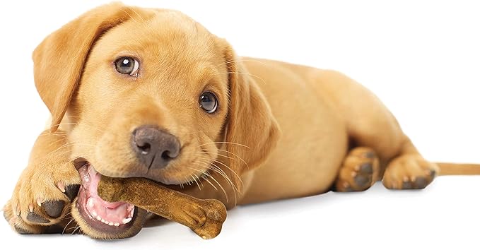 Nylabone Healthy Edibles Natural Puppy Chews Long Lasting Treats for Puppies, Lamb & Apple Flavor, X-Small/Petite (4 Count)