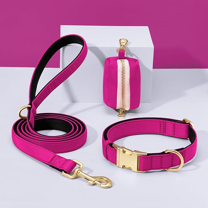 Didog Soft Padded Dog Collars for Medium Dogs, Colorful and Durable Dog Collar with Quick Release Buckle, Light and Breathable for Daily Walking, Rose Purple, M