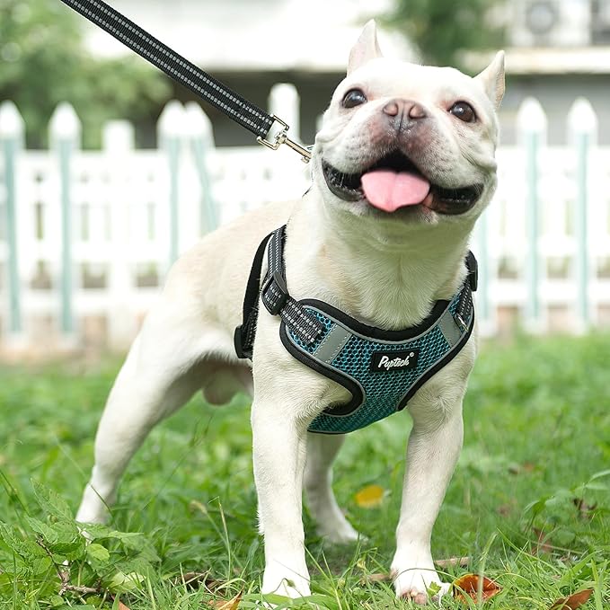 PUPTECK Dog Harness and Leash Set Medium Sized, Step in No Pull Adjustable Puppy Cat Harness Reflective Pet Vest
