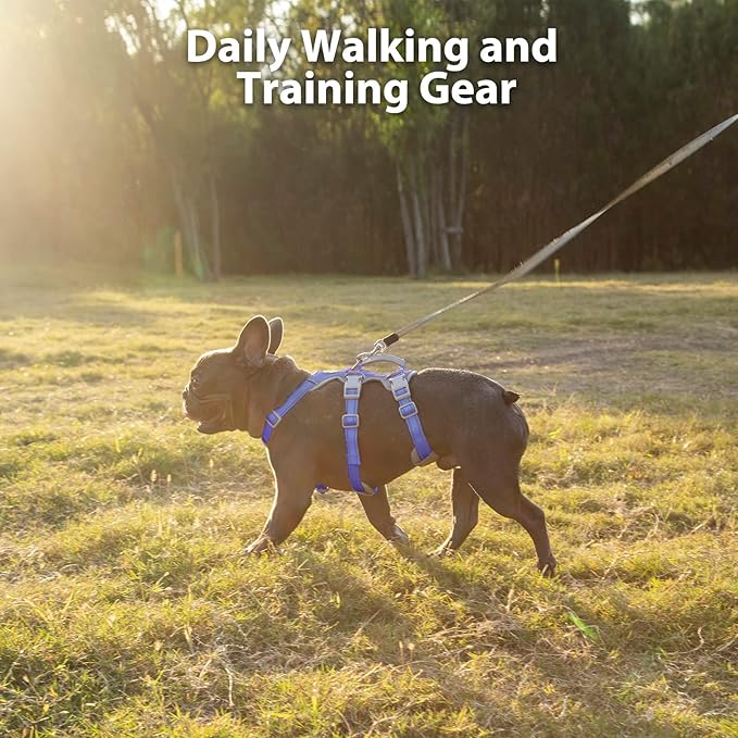 Huntboo Escape Proof Dog Harness, No Pull Reflective Harness with Lift Handle, Adjustable Pet Vest with Front and Back Leash Clips for Small Medium Large Dogs Walking Hiking Training (Vista Blue,L)