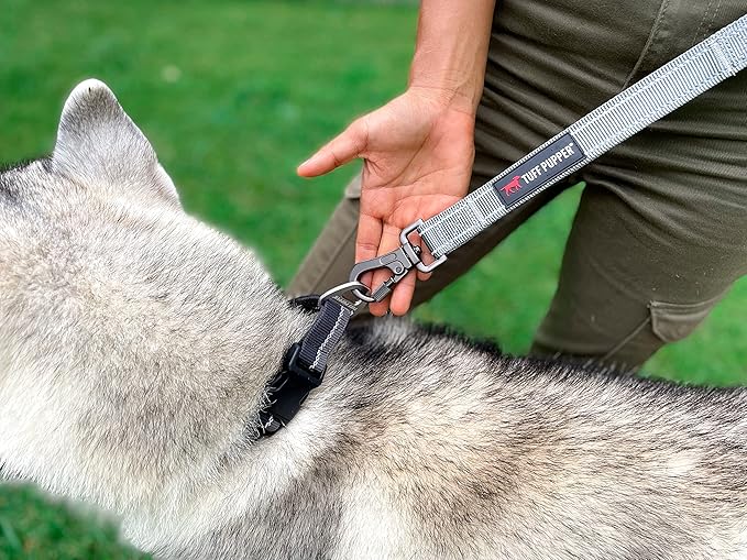 Tuff Pupper Heavy Duty Double Handle Leash | Twist Locking Carabiner Clip | Safety Lock for Strong Dogs | Reflective for Safe Night Walks | 6 Foot Leash | For Medium & Large Dogs