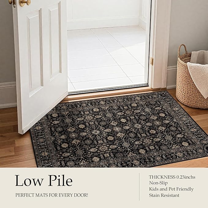 Area Rug Non Slip Machine Washable Ultra Soft Living Room/Bedroom/Kitchen/Outdoor/Classroom Black Gold, 2'×6'