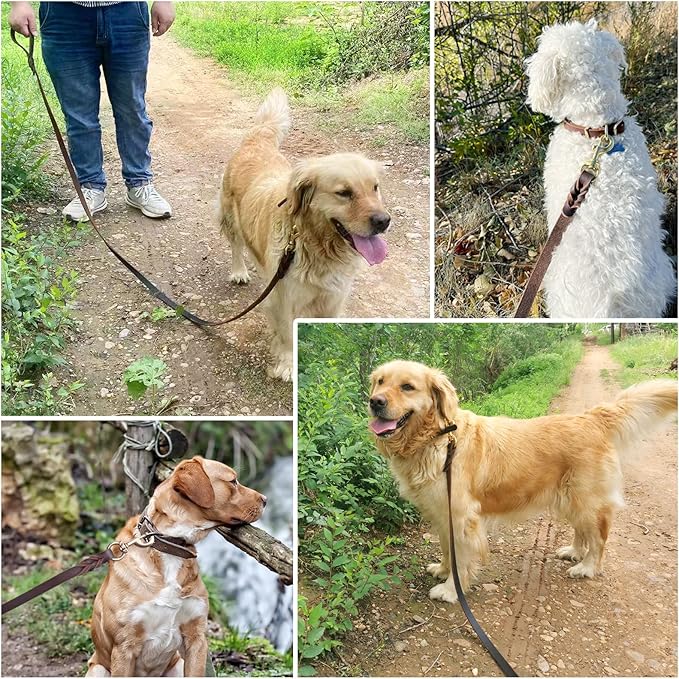 Leather Dog Leash 6ft x 5/8 inch,Strong Heavy Duty Genuine Leather Braided Dog Training Leash, Soft and Comfortable for Large Dogs, Medium Small Dogs (Brown, 6FT*5/8in)