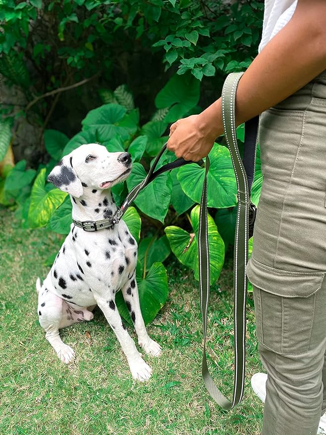 Tuff Pupper Heavy Duty Double Handle Leash with Twist Lock Carabiner Clip | Safety Lock for Strong Dogs | Reflective for Night Walks | 6ft for Medium & Large Dogs