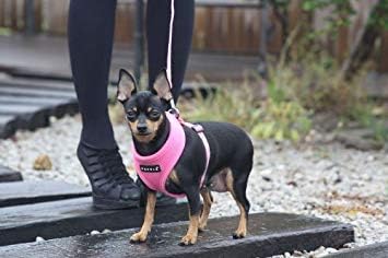 Puppia Soft Dog Harness No Choke Over-The-Head Triple Layered Breathable Mesh Adjustable Chest Belt and Quick-Release Buckle, Orange, X-Large