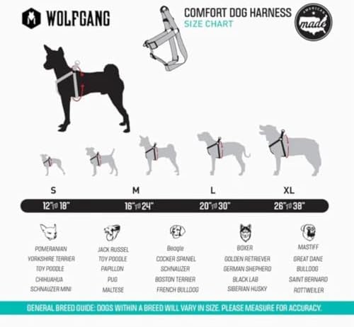 Wolfgang Heavy Duty Adjustable Dog Harness, Pull-Tested for Walking & Training, Mixtape Print, X-Large