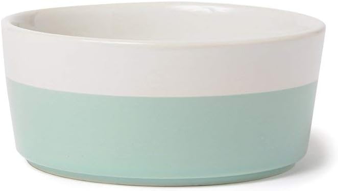 Waggo Dipper Ceramic Dog Bowl for Small and Large Breeds - Heavyweight and Durable Pet Food and Water Dish Crock, Dishwasher Safe, Modern (Mint, Large)