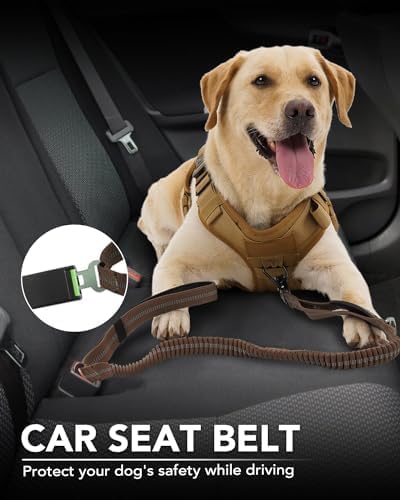Joytale Tactical Dog Leash Heavy Duty, 4-6FT Shock Absorbing Bungee Lead with 2 Padded Handle, Metal Carabiner Clip, Car Seatbelt, Strong No Pull Leash for Medium Large X-Large Dogs, Brown