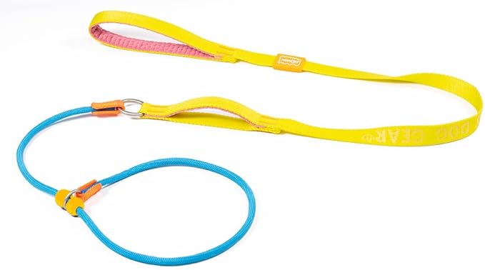 HOWGO Dog Slip Lead Dog Leash,Training Leash,Cinch Leash, No-Pull Slip Leash and Collar,Heavy Duty&Durable,Padded Handle,for All Breeds(Multicolor, 5FT)
