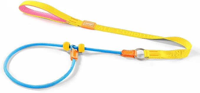 Howgo Dog Slip Lead Dog Leash, Training Lead, No-Pull Slip Leash and Collar, Heavy Duty & Durable Nylon, Padded Handle, for All Breeds (Multicolor, 3.6FT)