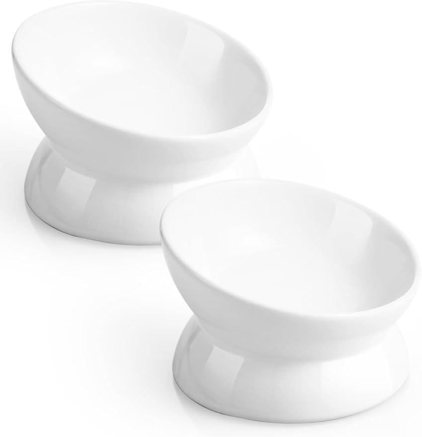 LoeJan Elevated Cat Food Bowl, 5 Oz Ceramic Raised and Tilted Water Bowl, Anti Vomiting and Protect Pets' Spines Dishes for Small Dog, Fat Faced Cat, Kitten (White, 2 Pack)