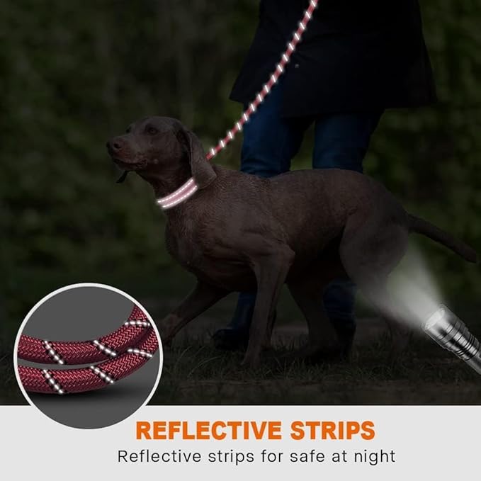 Taglory Rope Dog Leash 4 FT with Comfortable Padded Handle, Highly Reflective Threads Leash for Medium Large Dogs, 1/2 inch, Pink