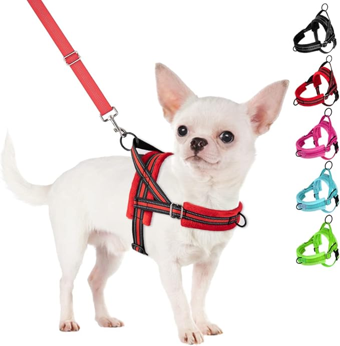 SlowTon No Pull Small Dog Harness and Leash Set, Puppy Soft Vest Harness Neck & Chest Adjustable, Reflective Lightweight Harness & Anti-Twist Pet Lead Combo for Small Medium Dogs (R-Front Clip,S)