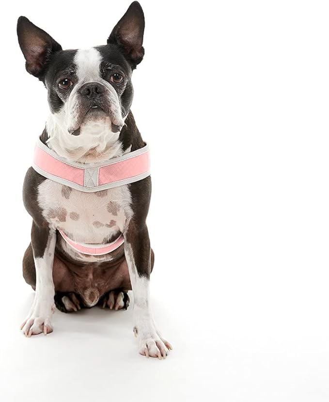 Gooby Simple Step in III Harness - Pink, Small - Small Dog Harness with Scratch Resistant Outer Vest - Soft Inner Mesh Harness for Small, Medium Dogs