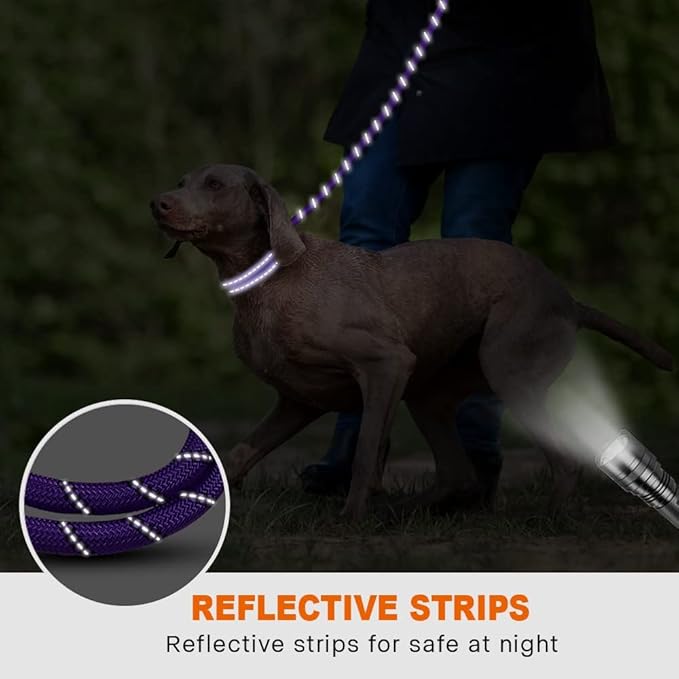 Taglory Rope Dog Leash 5 FT with Comfortable Padded Handle, Highly Reflective Threads Leash for Medium Large Dogs, 1/2 inch, Purple