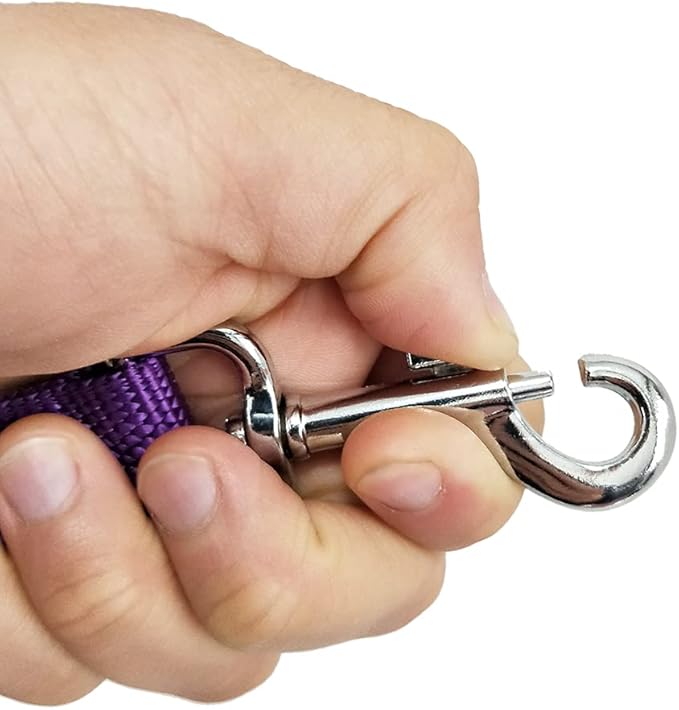 Nylon Dog Training Leash, Traction Rope, 4Ft /5 Foot /6 Feet Long, 5/8 inch 3/4 Inch 1 Inch Wide, for Small and Medium Dogs (5/8'' x 4 FT, Purple)