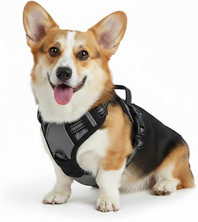 No Pull Dog Harness, Reflective Comfortable Vest Harness with Front & Back Easy Control Handle Adjustable Soft Padded Pet Vest for Small to Large Dogs(Gray,M)