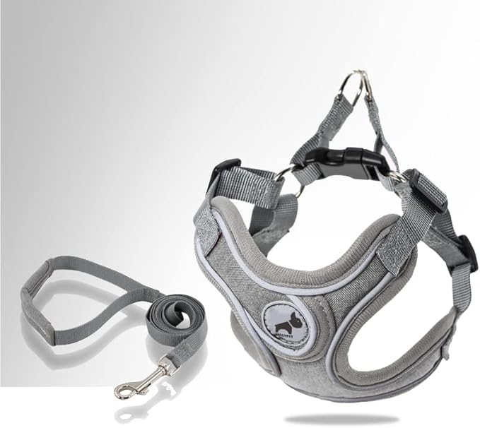 Dog Harness with Leash Set, Puppy Harnesses with Breathable Padded for Small Dogs Training and Running(XS, Gray)