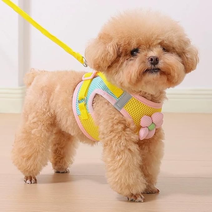 Floral Mesh Dog Harness with Matching Leash, Lightweight Pet Vest,Suitable for Small and Medium-Sized Cats and Dogs to Wear，Pink/Yellow (Yellow, L:16-20lbs)