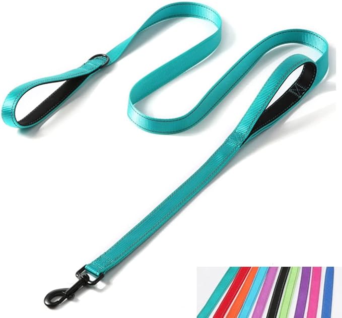 4ft Dog Leash with Two Handles, Reflective Extra Control Outside Durable Training Lead Heavy Duty Nylon Leashes for Small Medium Large Breed Pet Dogs, 1-inch Width, Teal