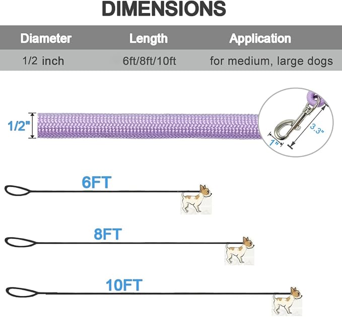 MayPaw 6/8 /10 FT Dog Leash, Classic Solid Colors, Strong Nylon Rope Dog Leash Reinforced with Leather Tailor Connection Heavy Duty Silver Clasp (Purple, 6ft*1/2")