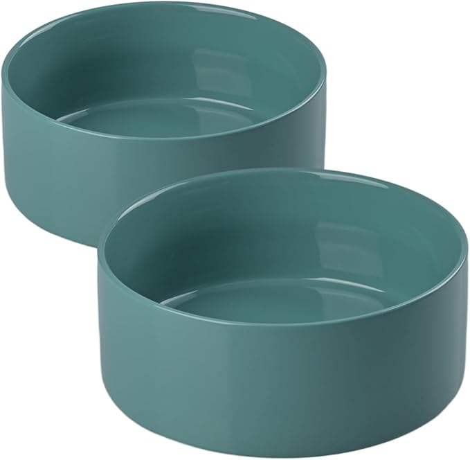 SPUNKYJUNKY 28.7OZ Ceramic Dog and Cat Bowl, Modern Cute Weighted Food Water Bowl for Replacement Light Green (2 Pack)