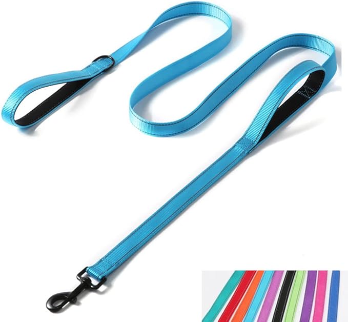 Reflective Nylon Dog Leash Heavy Duty, Two Handles with Padded for Extra Control Outside Durable Training Lead for Small Medium Large Breed Pet Dogs, 4ft Long 1-inch Width, Light Blue
