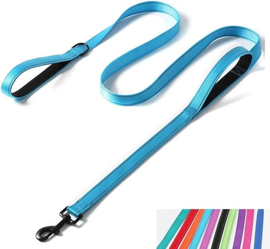 Reflective Nylon Dog Leash Heavy Duty, Two Handles with Padded for Extra Control Outside Durable Training Lead for Small Medium Large Breed Pet Dogs, 4ft Long 1-inch Width, Light Blue