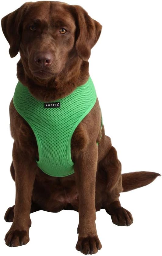 Puppia Soft Dog Harness No Choke Over-The-Head Triple Layered Breathable Mesh Adjustable Chest Belt and Quick-Release Buckle, Green, Medium