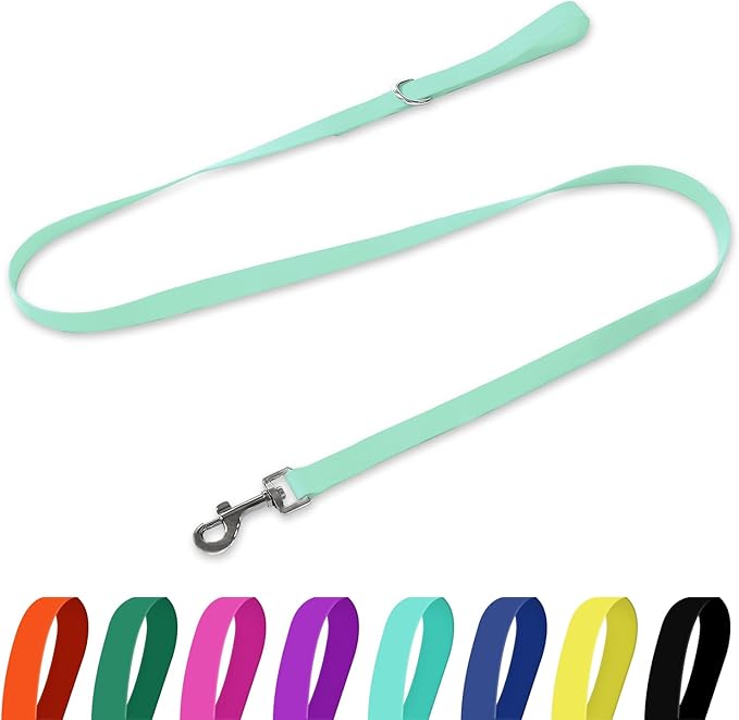 Waterproof Dog Leash, 5/6 FT Durable Odor-Proof Dog Leashes with Strong Metal Hooks Fits Small Medium or Large Dogs (Mint Green, 6FT - 1 inch Width)