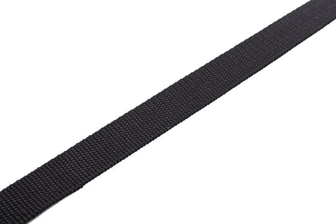 Nylon Dog Leash 8 Feet Long, Walking Training Dog Leashes for Medium Large Dogs(1" X 8 ft, Black)