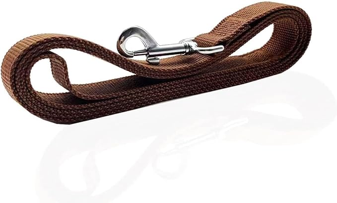 Nylon Dog Leash 8 Feet Long, Walking Training Dog Leashes for Medium Large Dogs