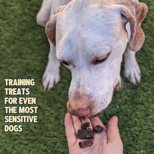 Jiminy's Chewy Cricket Training Treats for Dogs, Low Calorie, Hypoallergenic, Made in USA, 6oz, Pumpkin & Carrot (Pack of 3)