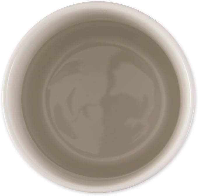 Bone Dry Ceramic Pet Treat Canister, Dishwasher Safe, 4x6.5 Desert Sage Petite Check