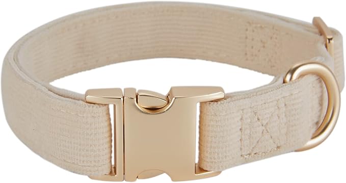 Soft Corduroy Fibric Dog Collar with High Grade Metal Buckle, for Small Dogs.(White,Small:10-15")