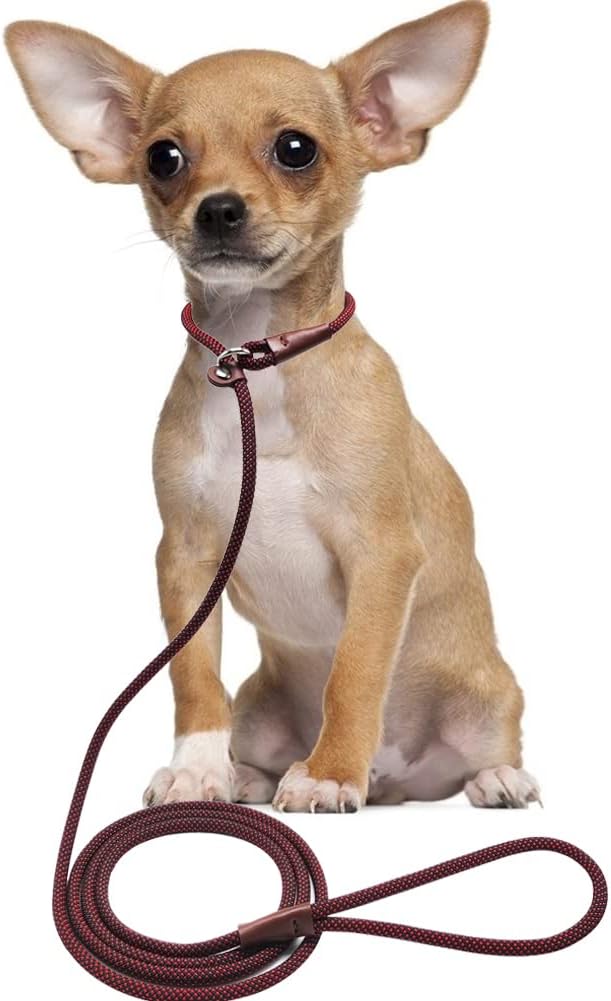 BTINESFUL 7FT Slip Lead Dog Leash, Strong Nylon Rope Leash, 1/4" No Pull Dog Training Lead for Small Medium Dogs