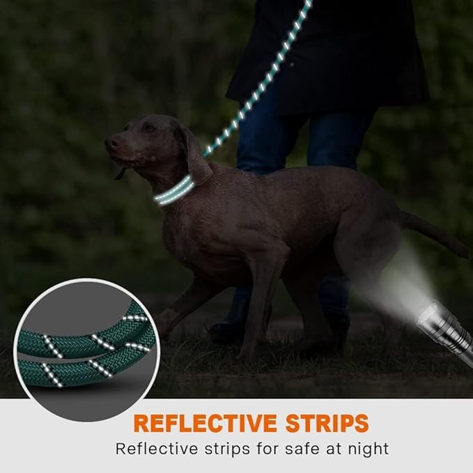 Taglory Rope Dog Leash 6 FT with Comfortable Padded Handle, Highly Reflective Threads Leash for Medium Large Dogs, 1/2 inch, Turquoise
