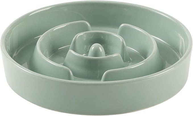 Ceramic 3.2 Cup Slow Feeder Dog Bowl for Large Dog, 9.5inch Puzzle Food Dish, Anti-Gulping, Stop Bloat, Preventing Choking (Single Bowl-Light Green)