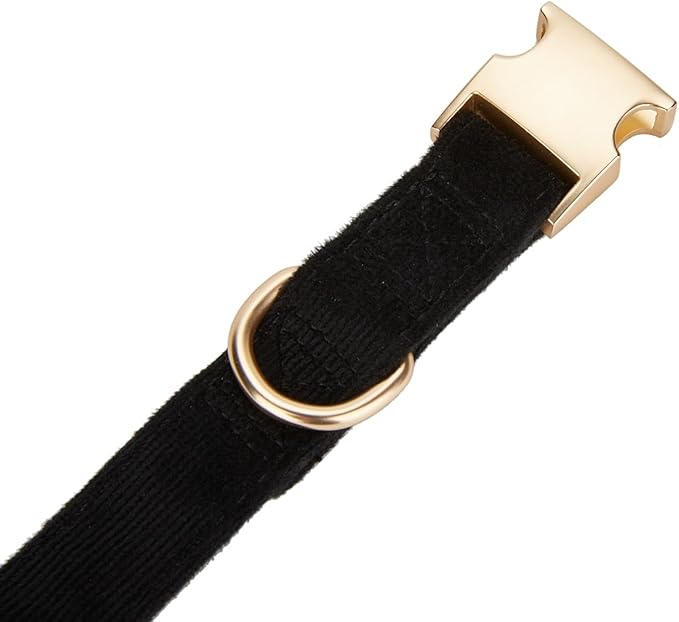 Soft Corduroy Fibric Dog Collar with High Grade Metal Buckle, for Medium Dogs(Black,Medium:12-19")