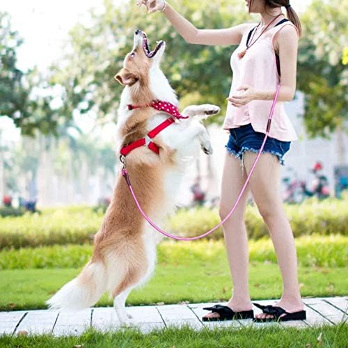 MayPaw 4/6 /8/10 FT Dog Leash, Classic Solid Colors, Strong Nylon Rope Dog Leash Reinforced with Leather Tailor Connection Heavy Duty Silver Clasp (Pink, 6ft*1/2")