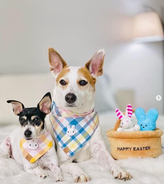 Midlee Hide a Toy Easter Basket Dog Toy