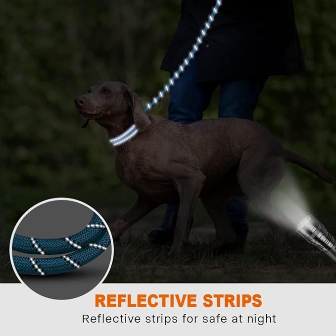 Taglory Rope Dog Leash 4 FT with Comfortable Padded Handle, Highly Reflective Threads Leash for Medium Large Dogs, 1/2 inch, Blue